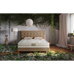 Matelas Lotus – Collection Hévéa – Technilat