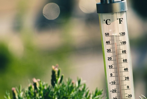 Canicule à Dijon : comment dormir au frais sans climatisation